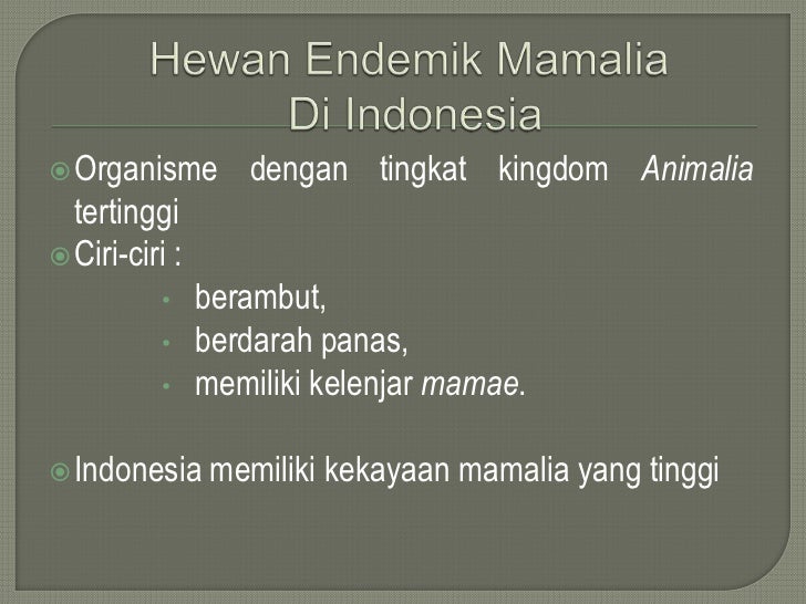  Hewan  endemik  mamamlia di indonesia  perkawinan silang