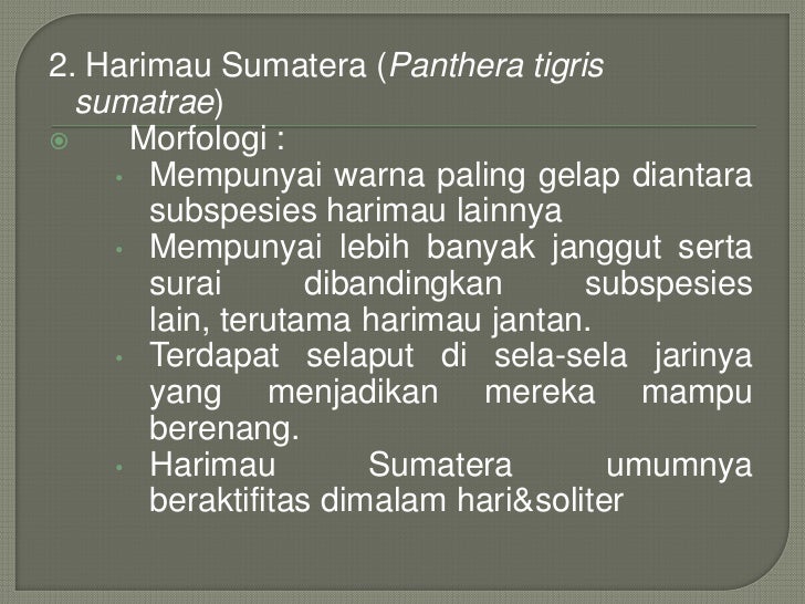  Hewan  endemik  mamamlia di indonesia  perkawinan silang