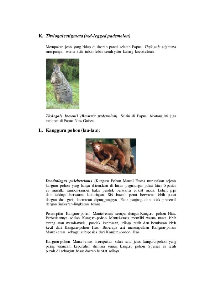 Ciri Ciri Khusus Dan Habitat Asli Hewan - Ini Cirinya