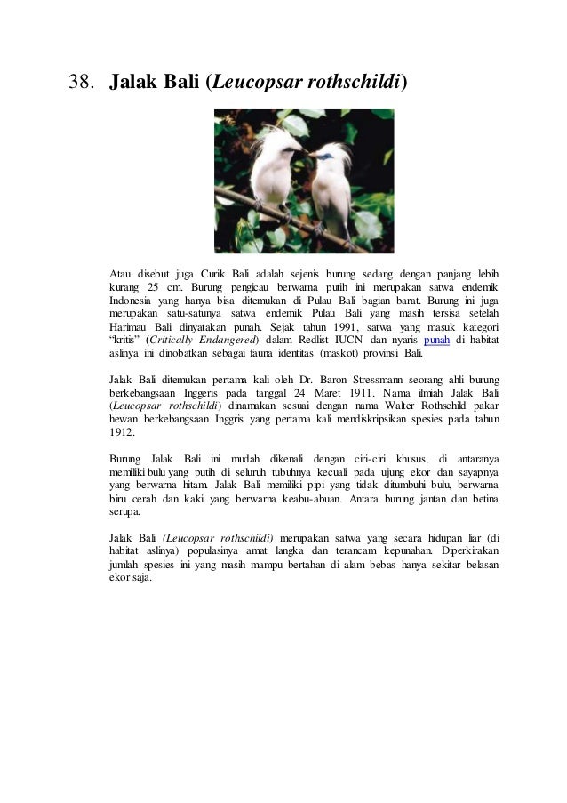 Ciri Ciri Khusus Dan Habitat Asli Hewan - Ini Cirinya