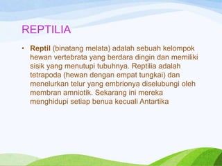 REPTILIA
• Reptil (binatang melata) adalah sebuah kelompok
hewan vertebrata yang berdara dingin dan memiliki
sisik yang menutupi tubuhnya. Reptilia adalah
tetrapoda (hewan dengan empat tungkai) dan
menelurkan telur yang embrionya diselubungi oleh
membran amniotik. Sekarang ini mereka
menghidupi setiap benua kecuali Antartika

 