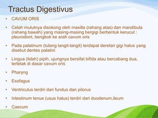 Tractus Digestivus
•

CAVUM ORIS

•

Celah mulutnya disokong oleh maxilla (rahang atas) dan mandibula
(rahang bawah) yang masing-masing bergigi berbentuk kerucut :
pleurodont, bengkok ke arah cavum oris

•

Pada palatinum (tulang langit-langit) terdapat deretan gigi halus yang
disebut dentes palatini

•

Lingua (lidah) pipih, ujungnya bersifat bifida atau bercabang dua,
terletak di dasar cavum oris

•

Pharyng

•

Esofagus

•

Ventriculus terdiri dari fundus dan pilorus

•

Intestinum tenue (usus halus) terdiri dari duodenum,ileum

•

Caecum

 