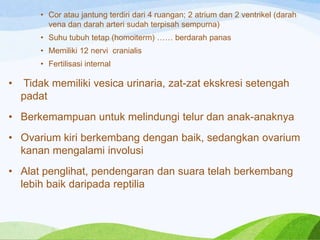 • Cor atau jantung terdiri dari 4 ruangan; 2 atrium dan 2 ventrikel (darah
vena dan darah arteri sudah terpisah sempurna)
• Suhu tubuh tetap (homoiterm) …… berdarah panas
• Memiliki 12 nervi cranialis
• Fertilisasi internal

•

Tidak memiliki vesica urinaria, zat-zat ekskresi setengah
padat

• Berkemampuan untuk melindungi telur dan anak-anaknya
• Ovarium kiri berkembang dengan baik, sedangkan ovarium
kanan mengalami involusi
• Alat penglihat, pendengaran dan suara telah berkembang
lebih baik daripada reptilia

 