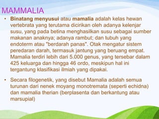 MAMMALIA
• Binatang menyusui atau mamalia adalah kelas hewan
vertebrata yang terutama dicirikan oleh adanya kelenjar
susu, yang pada betina menghasilkan susu sebagai sumber
makanan anaknya; adanya rambut; dan tubuh yang
endoterm atau "berdarah panas". Otak mengatur sistem
peredaran darah, termasuk jantung yang beruang empat.
Mamalia terdiri lebih dari 5.000 genus, yang tersebar dalam
425 keluarga dan hingga 46 ordo, meskipun hal ini
tergantung klasifikasi ilmiah yang dipakai.
• Secara filogenetik, yang disebut Mamalia adalah semua
turunan dari nenek moyang monotremata (seperti echidna)
dan mamalia therian (berplasenta dan berkantung atau
marsupial)

 