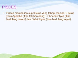 PISCES
• Pisces merupakan superkelas yang tebagi menjadi 3 kelas
yaitu Agnatha (ikan tak berahang) , Chondrichtyes (ikan
bertulang rawan) dan Osteichtyes (ikan bertulang sejati)

 