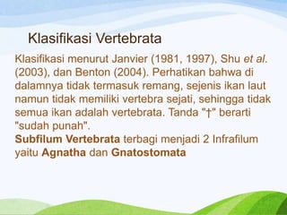 Klasifikasi Vertebrata
Klasifikasi menurut Janvier (1981, 1997), Shu et al.
(2003), dan Benton (2004). Perhatikan bahwa di
dalamnya tidak termasuk remang, sejenis ikan laut
namun tidak memiliki vertebra sejati, sehingga tidak
semua ikan adalah vertebrata. Tanda "†" berarti
"sudah punah".
Subfilum Vertebrata terbagi menjadi 2 Infrafilum
yaitu Agnatha dan Gnatostomata

 