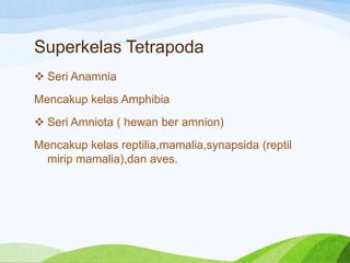 Superkelas Tetrapoda
 Seri Anamnia

Mencakup kelas Amphibia
 Seri Amniota ( hewan ber amnion)
Mencakup kelas reptilia,mamalia,synapsida (reptil
mirip mamalia),dan aves.

 