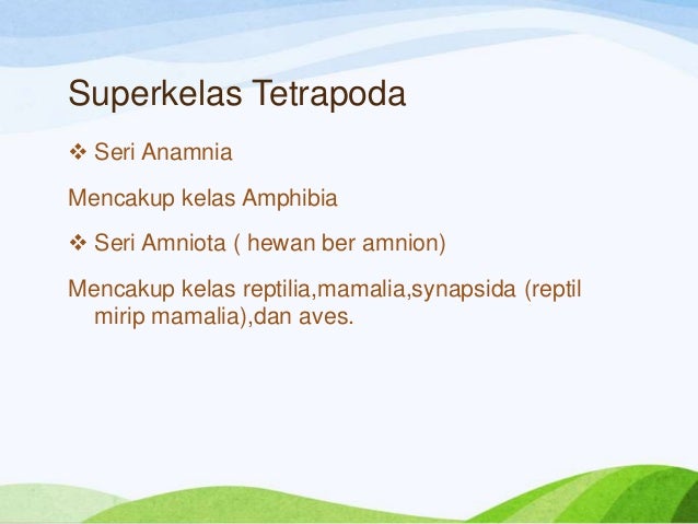 Hewan Vertebrata