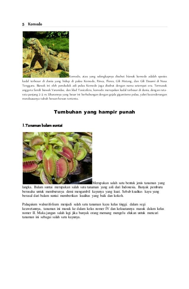 Hewan Yang Hampir Punah