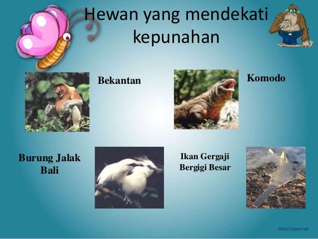 930 Koleksi Gambar Hewan Dan Tumbuhan Yang Mendekati Kepunahan Terbaru