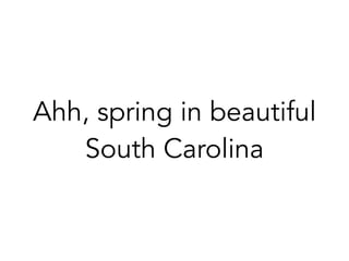 Ahh, spring in beautiful
South Carolina
 