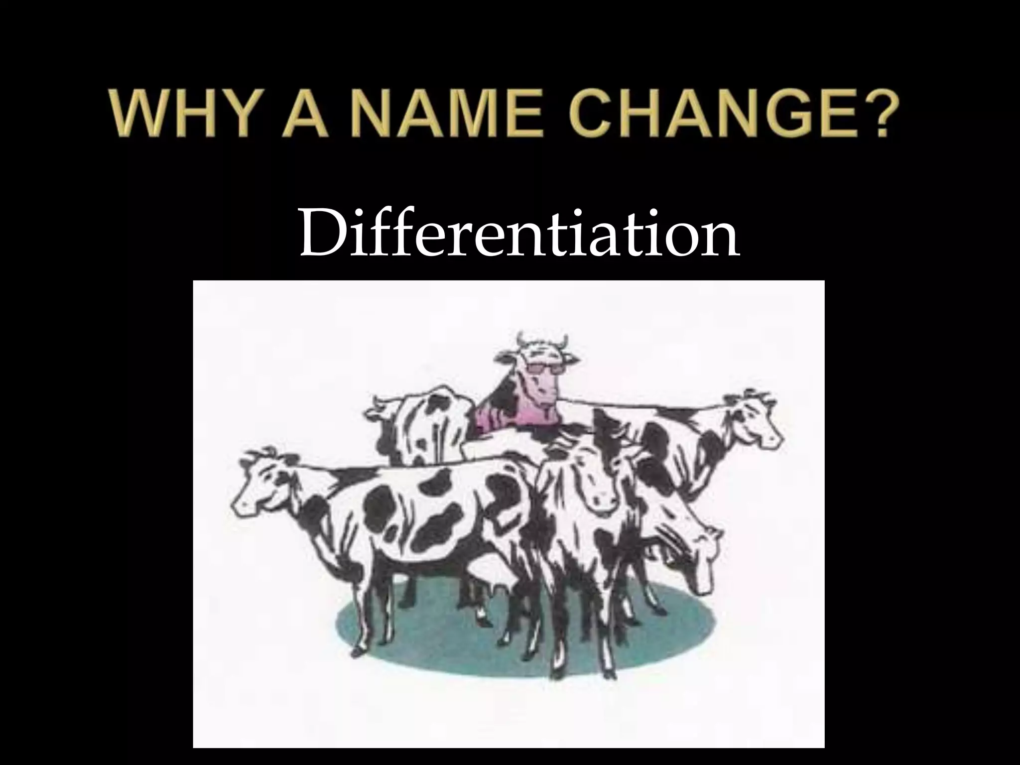 WHY A NAME CHANGE?Differentiation