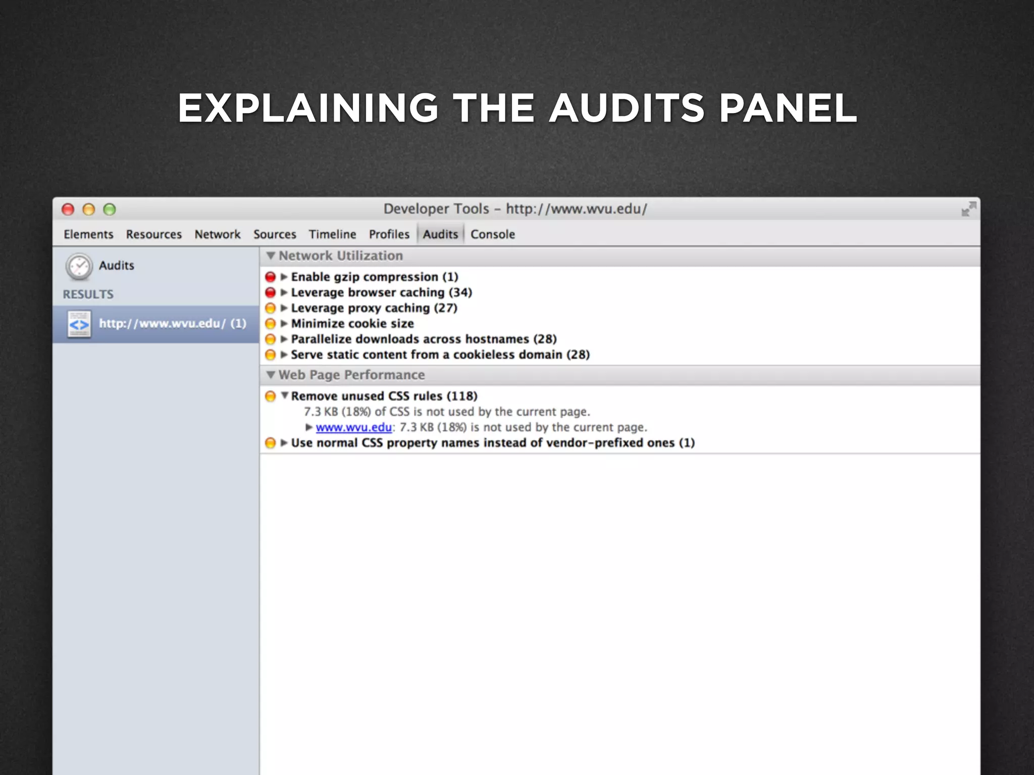 EXPLAINING THE AUDITS PANEL
 