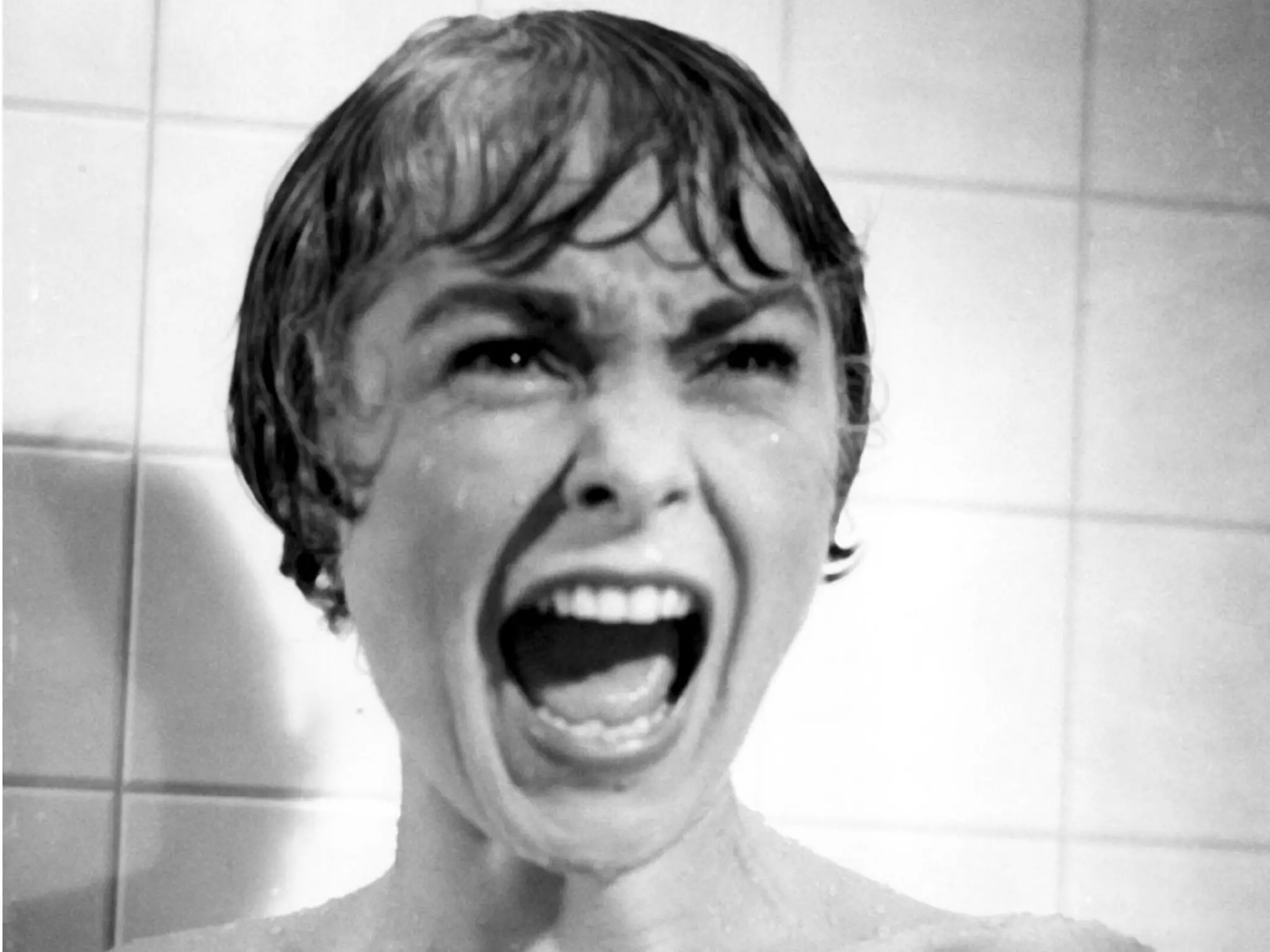 scream




         4
 