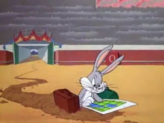 Bugs in Albuquerue / signpost




                                15
 