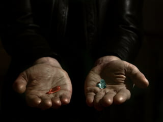 Red pill / blue bill - honesty about the project




                                                   20
 