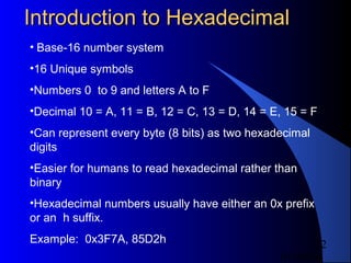 Hexadecimal numbers | PPT | Computing | Technology & Computing