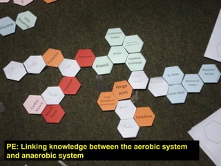 PE: Linking knowledge between the aerobic system
and anaerobic system
 