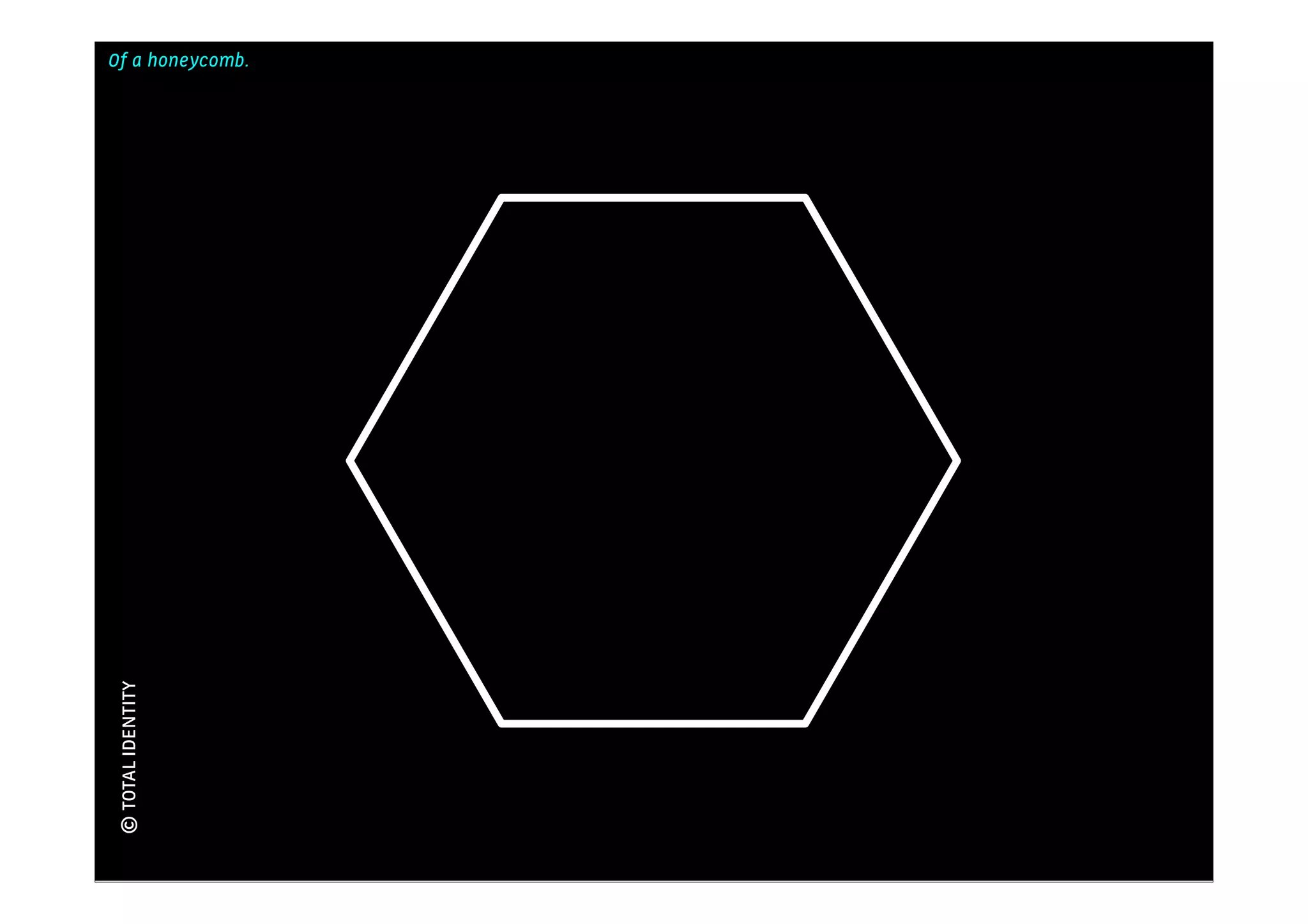 Of a honeycomb.
                   Kennis
© TOTAL IDENTITY
 