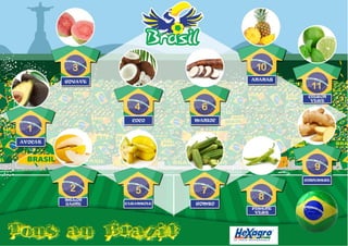 Hexagro, tous au brésil 2014