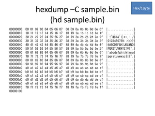 Hexdump memo | PPT
