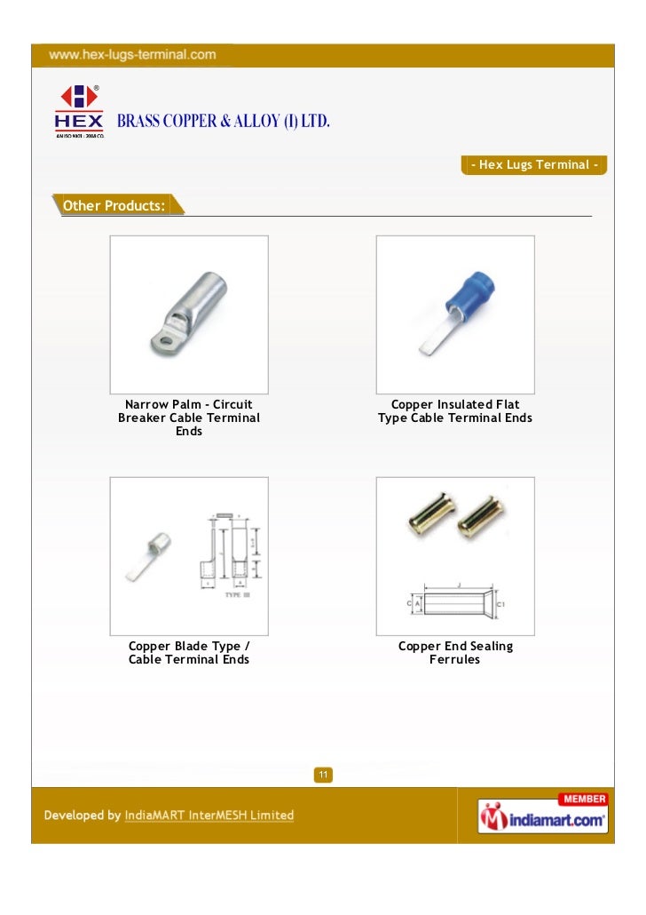 Brass Copper & Alloy India Limited, Mumbai, Hex Lugs Terminal
