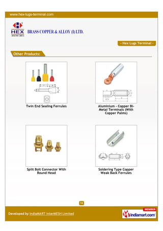 - Hex Lugs Terminal -


Other Products:




       Twin End Sealing Ferrules   Aluminium - Copper Bi-
                                   Metal Terminals (With
                                       Copper Palms)




       Split Bolt Connector With   Soldering Type Copper
              Round Head            Weak Back Ferrules
 