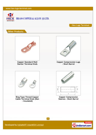 - Hex Lugs Terminal -


Other Products:




        Copper Standard Wall      Copper Compression Lugs
        Starter Terminal Ends          - Short Barrel




       Ring Type Tinned Copper      Copper Compression
       Cable Terminal Ends (Non    Sleeves - Short Barrel
              - Insulated)
 