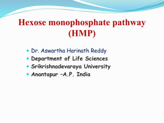 Hexose monophosphate pathway
(HMP)
 Dr. Aswartha Harinath Reddy
 Department of Life Sciences
 Srikrishnadevaraya University
 Anantapur –A.P. India
 