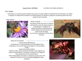 Superfamilia APOIDEA                   conocidos como abejas y abejorros

Fam. Apidae
   Constituyen un numeroso grupo de abejas que incluye a la abeja melífera o doméstica (la más conocida), a las abejas
    sin aguijón, las abejas de las orquídeas, las abejas parásitas, los abejorros y abejorros carpinteros además de otros
                                                   grupos menos conocidos.
 abeja melífera
                                            abejas sin aguijón
                                            Son abejas sociales que viven en colonias
                                            permanentes, como las abejas europeas.
                                                  Se distribuyen a lo largo de las
                                             regiones tropicales y subtropicales del
                                             mundo, desde los 30° de latitud norte
                                                     hasta los 30° de latitud
                                           sur, en Centro y Sudamérica, África, Asia y
                                                             Australia.



          abejas de las orquídeas
                          Incluye más de 200 especies.
          Su distribución se extiende desde el norte de México hasta
      la Argentina, con una sola especie que llega al sur de los Estados
                                    Unidos.
                         Coloraciones desde metálico
     brillante, verdes, azules, purpúreas, doradas o rojas. Algunas son
     negras con pelos blancos o amarillos y se parecen a los abejorros.
                    Don robustas de entre 8 y 30 milímetros.
     Tienen lengua (glosa) muy larga-- en algunos casos dos veces más
         larga que el cuerpo. Por eso son llamadas Euglossini: ‘glosa
                                   verdadera’
 