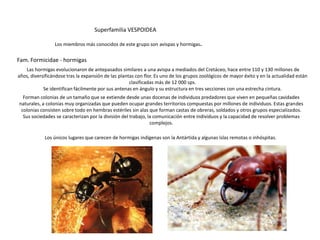 Superfamilia VESPOIDEA

                 Los miembros más conocidos de este grupo son avispas y hormigas.

Fam. Formicidae - hormigas
   Las hormigas evolucionaron de antepasados similares a una avispa a mediados del Cretáceo, hace entre 110 y 130 millones de
años, diversificándose tras la expansión de las plantas con flor. Es uno de los grupos zoológicos de mayor éxito y en la actualidad están
                                                     clasificadas más de 12 000 sps.
            Se identifican fácilmente por sus antenas en ángulo y su estructura en tres secciones con una estrecha cintura.
  Forman colonias de un tamaño que se extiende desde unas docenas de individuos predadores que viven en pequeñas cavidades
naturales, a colonias muy organizadas que pueden ocupar grandes territorios compuestas por millones de individuos. Estas grandes
 colonias consisten sobre todo en hembras estériles sin alas que forman castas de obreras, soldados y otros grupos especializados.
  Sus sociedades se caracterizan por la división del trabajo, la comunicación entre individuos y la capacidad de resolver problemas
                                                               complejos.

            Los únicos lugares que carecen de hormigas indígenas son la Antártida y algunas islas remotas o inhóspitas.
 