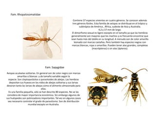 Fam. Rhopalosomatidae
                                                                Contiene 37 especies vivientes en cuatro géneros. Se conocen además
                                                               tres géneros fósiles. Esta familia de avispas se distribuye en el trópico y
                                                                      subtrópico de América , África, sudeste de Asia y Australia.
                                                                                         4,2 y 17 mm de largo.
                                                               El dimorfismo sexual es ligero excepto en el tamaño ya que las hembras
                                                              generalmente son mayores que los machos y es frecuente encontrar que
                                                              sean hasta más del doble en su longitud. A menudo son de color amarillo
                                                                 leonado con marcas castañas. Pero también hay especies negras con
                                                               marcas blancas, rojas o amarillas. Pueden tener alas grandes, completas
                                                                                  (macrópteros) o sin alas (ápteros).




                                     Fam. Sapygidae
Avispas aculeatas solitarias. En general son de color negro con marcas
            amarillas o blancas y de tamaño variable según la
   especie. Son cleptoparásitos o parasitoides de abejas. Las hembras
    depositan sus huevos en los nidos de abejas solitarias y sus larvas
devoran tanto las larvas de abejas como el alimento almacenado para
                                  ellas.
   Es una familia pequeña, sólo se han descrito 80 especies. No se las
 considera de mayor importancia económica. Sin embargo algunos de
sus huéspedes son polinizadores importantes. Tal vez en algunos casos
  sea necesario controlar el grado de parasitismo. Son de distribución
                      mundial excepto en Australia.
 