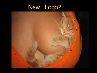 New  Logo?  