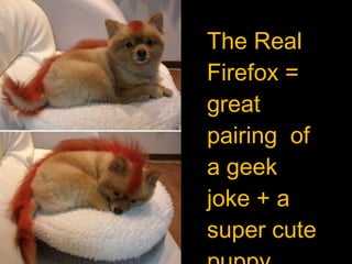 The Real Firefox = great pairing  of a geek joke + a super cute puppy  