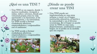 Metodologia tini | PPTX