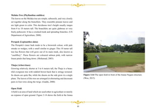 Istana Negara Report