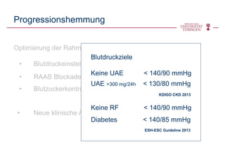 Optimierung der Rahmenbedingungen
• Blutdruckeinstellung
• RAAS Blockade
• Blutzuckerkontrolle
• Neue klinische Ansätze
Progressionshemmung
Blutdruckziele
Keine UAE < 140/90 mmHg
UAE >300 mg/24h < 130/80 mmHg
Keine RF < 140/90 mmHg
Diabetes < 140/85 mmHg
KDIGO CKD 2013
ESH-ESC Guideline 2013
 