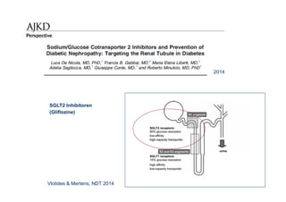 2014
Vlotides & Mertens, NDT 2014
SGLT2 Inhibitoren
(Gliflozine)
 