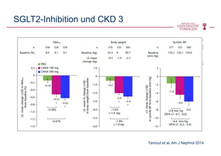 SGLT2-Inhibition und CKD 3
Yamout et al, Am J Nephrol 2014
 