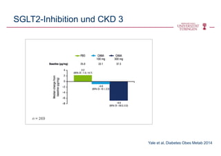 SGLT2-Inhibition und CKD 3
Yale et al, Diabetes Obes Metab 2014
n = 269
 
