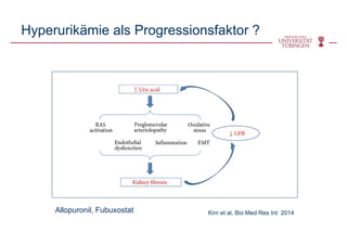 Hyperurikämie als Progressionsfaktor ?
Kim et al, Bio Med Res Int 2014Allopuronil, Fubuxostat
 