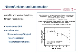 Atrophie und Verlust funktions-
fähigen Parenchyms
• Verminderte GFR
• Abnahme von
Konzentrierungsfähigkeit
Reservekapazität
Regenerationsfähigkeit
Nierenfunktion und Lebensalter
 