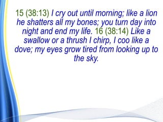 15 (38:13) I cry out until morning; like a lion
he shatters all my bones; you turn day into
  night and end my life. 16 (38:14) Like a
  swallow or a thrush I chirp, I coo like a
dove; my eyes grow tired from looking up to
                   the sky.
 