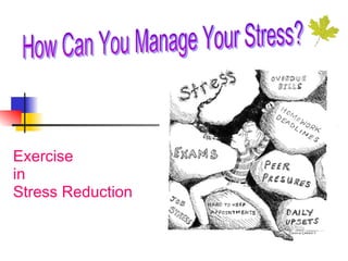 Exercise  in  Stress Reduction 