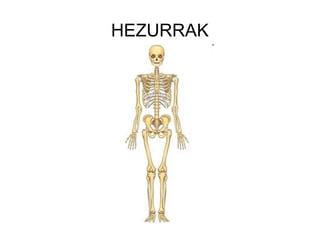 HEZURRAK 