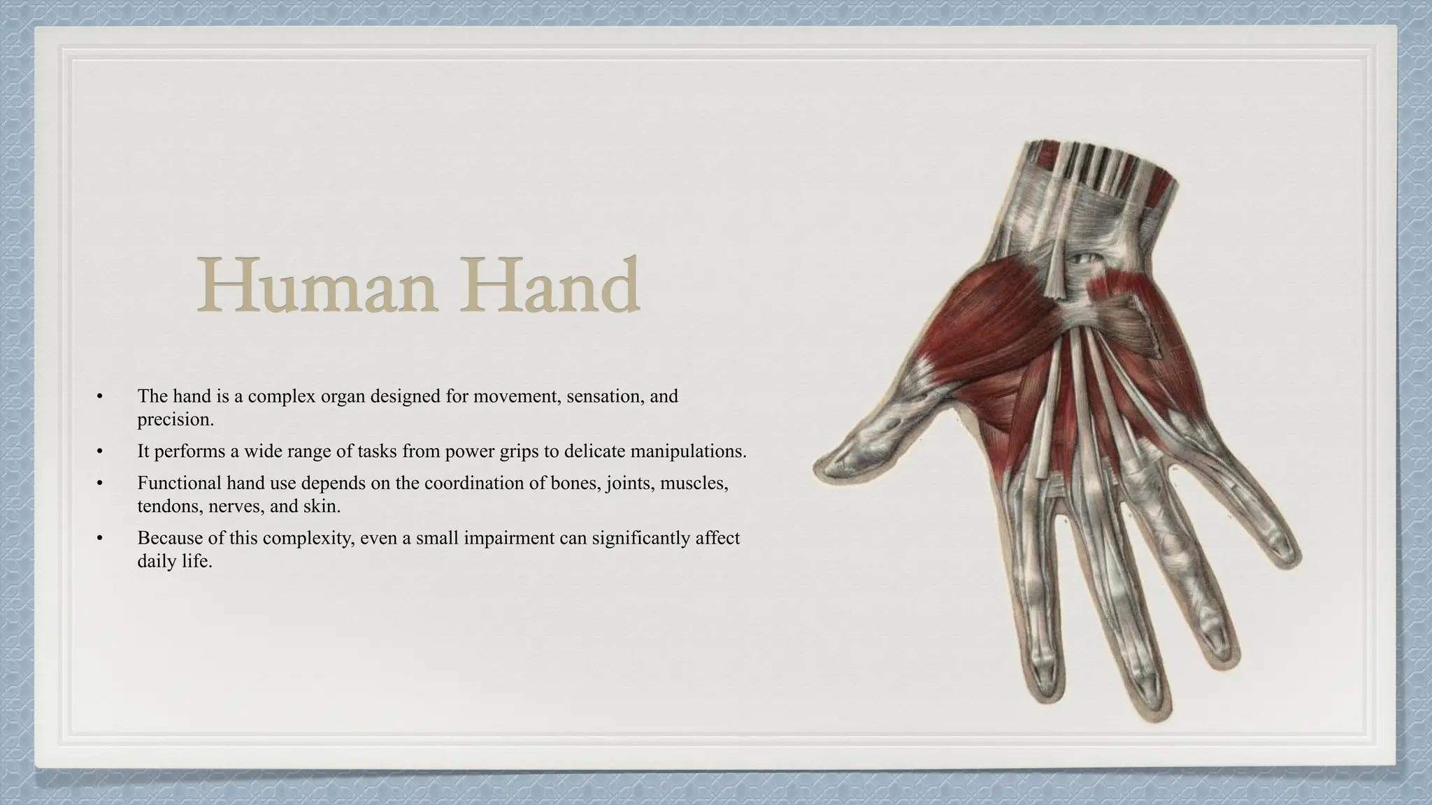 Hand Function in Occupational Therapy OT | PDF