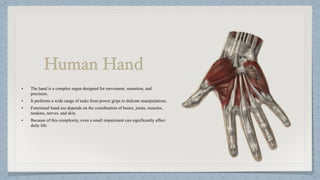 Hand Function in Occupational Therapy OT | PDF