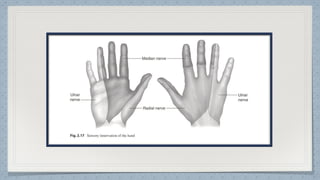 Hand Function in Occupational Therapy OT | PDF