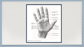 Hand Function in Occupational Therapy OT | PDF