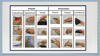Hand Function Pdf Hand Function in Occupational Therapy OT | PDF
